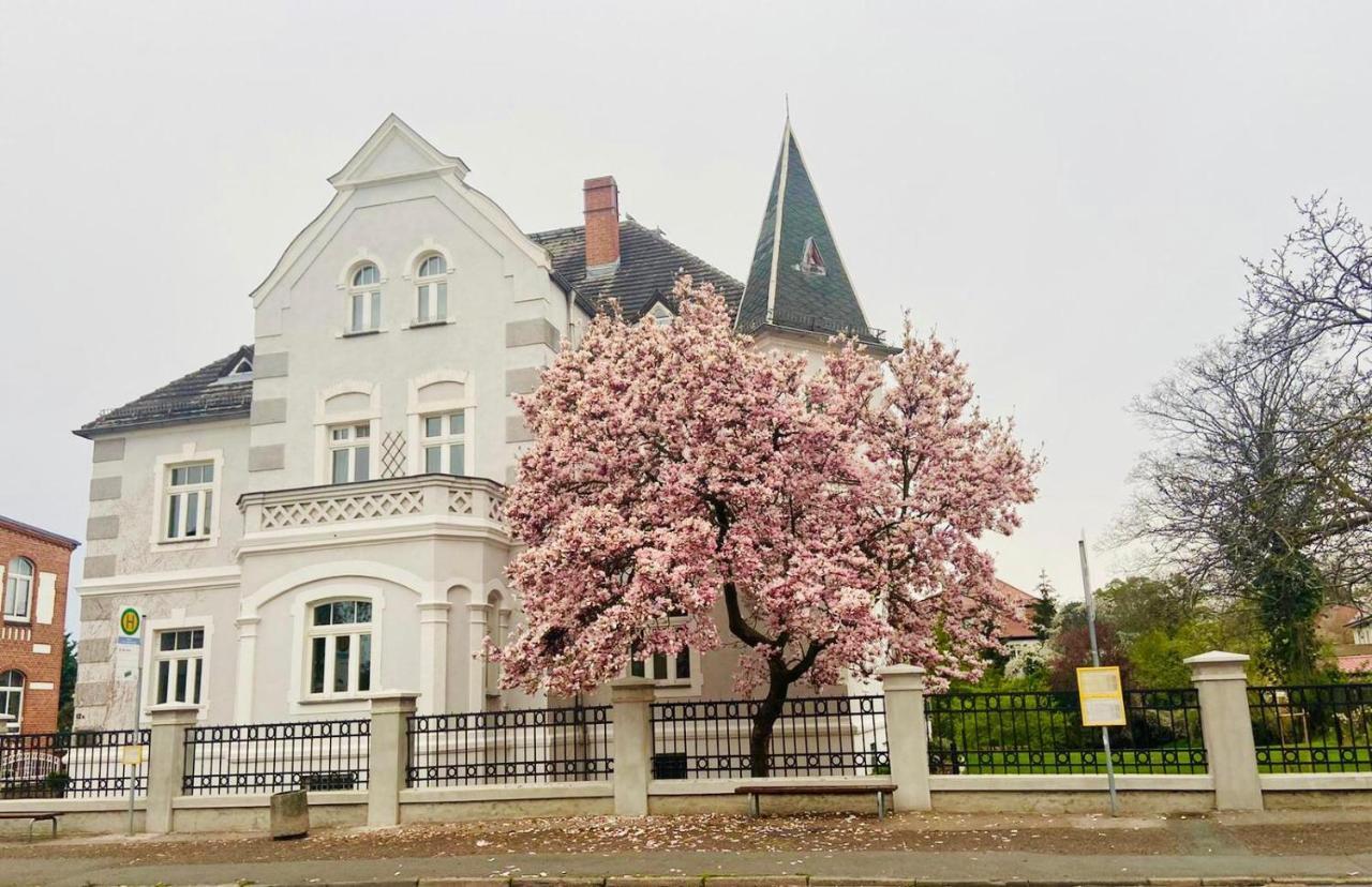 Boutique Appartement Torgau Bagian luar foto